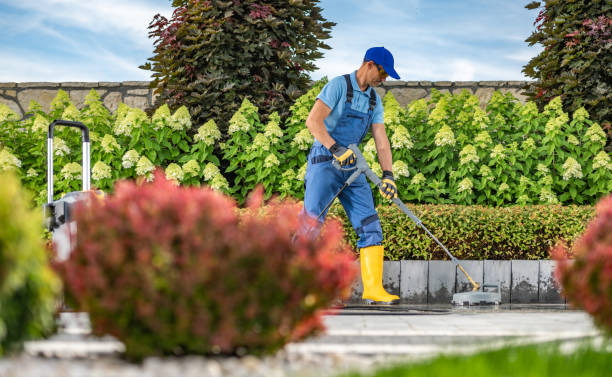 power washing a driveway to ensure a clean property