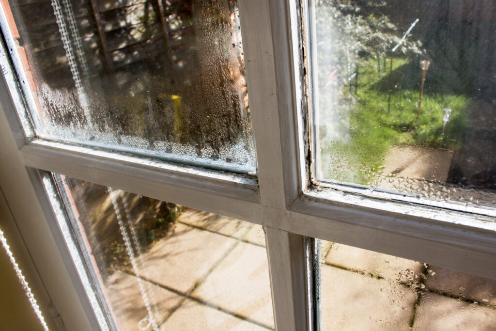 damp window damaging frames due to poor maintenance