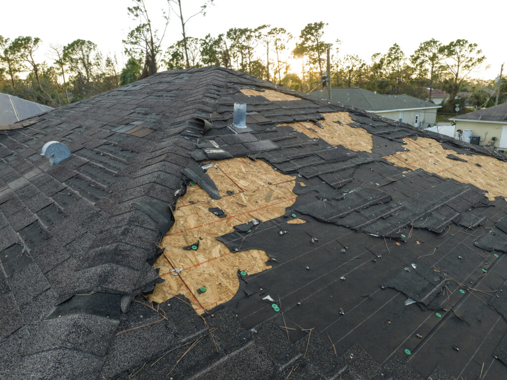 clean your roof before the winter harsh cold can damage it. Brightness window cleaning provides roof washing services