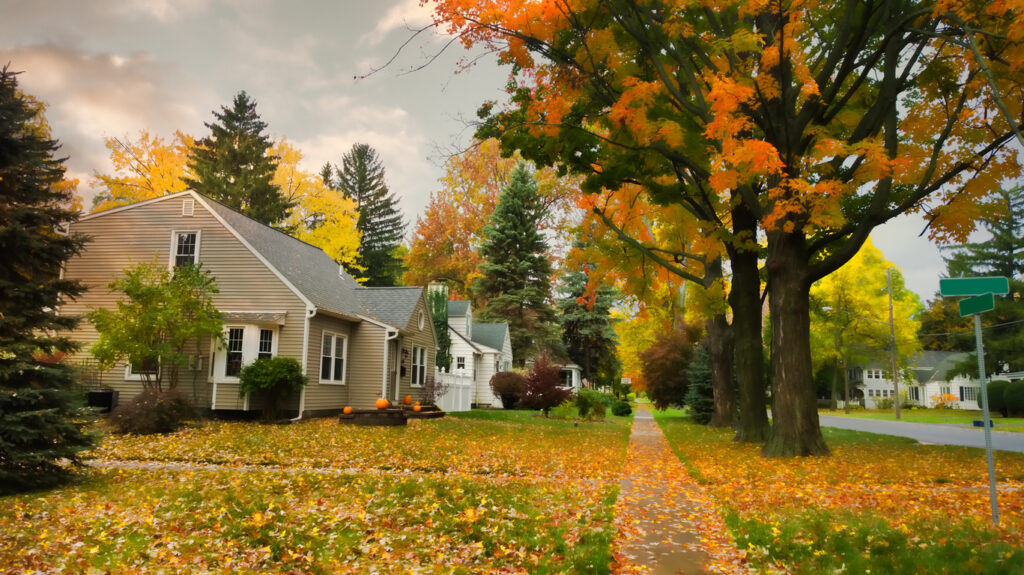 October is the best month to book your Christmas lights installation near nj and ny