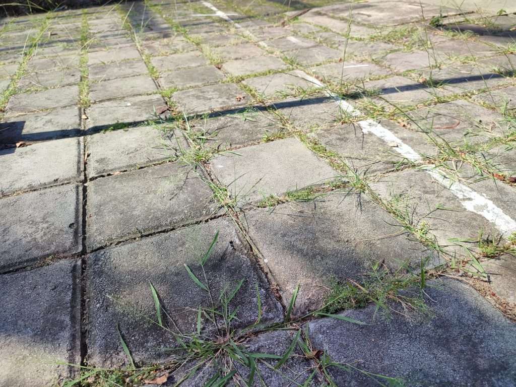 pavers that need brightness window cleaning sand and seal services.